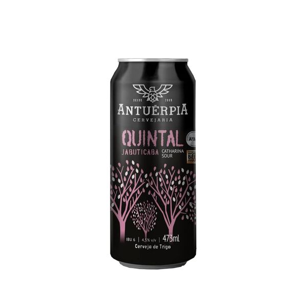 Cerveja-Artesanal-Antuerpia-Quintal-Catharina-Sour-Jabuticaba-473ml Cerveja-Artesanal-Antuerpia-Quintal-Catharina-Sour-Jabuticaba-473ml