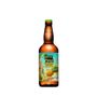Cerveja-Artesanal-Hocus-Pocus-Pineapple-Express-500ml