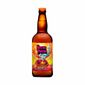 Cerveja-artesanal-Hocus-Pocus-Orange-Sunshine-500ml