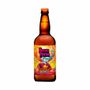 Cerveja-artesanal-Hocus-Pocus-Orange-Sunshine-500ml