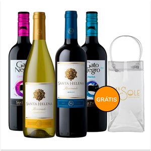 Kit-Degustacao-4-Vinhos-Encorpados-750ml.jpg