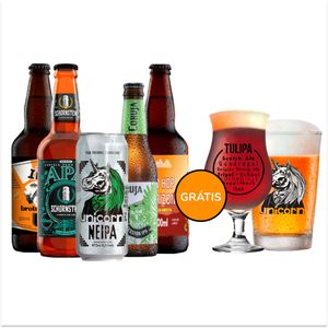 Kit Degustação 5 Lupuladas + 2 Copos Grátis - CervejaBox