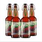 4-ROLETA-RUSSAS-IPA-500ml.jpg