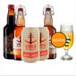 Kit-5-cervejas-Imigracao---Taca.jpg