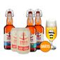 Kit-5-cervejas-Imigracao---Taca.jpg