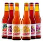 Kit-Degustacao-6-Cervejas-Barbarella-Fruitbier-355ml.jpg