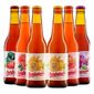 Kit-Degustacao-6-Cervejas-Barbarella-Fruitbier-355ml.jpg