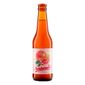 Cerveja-Barbarella-Fruitbier-Pomelo-355ml.jpg