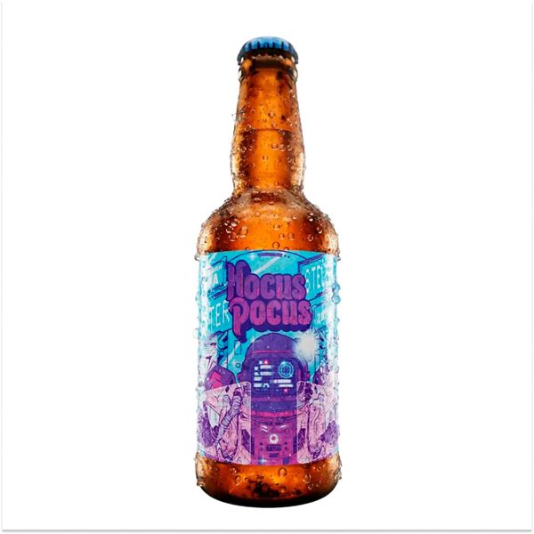 Cerveja Hocus Pocus Interestellar 500ml